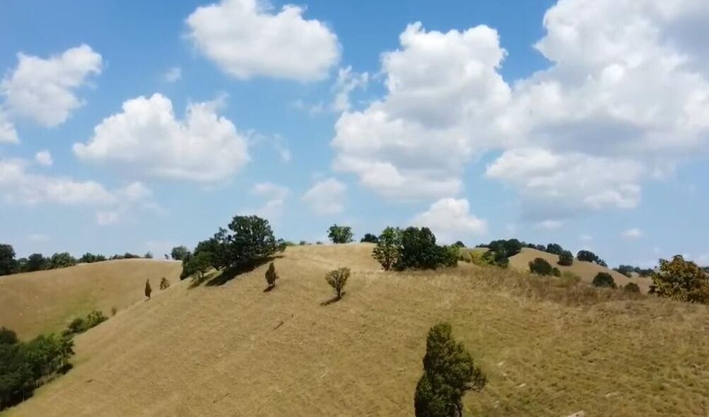 Deliblatska peščara