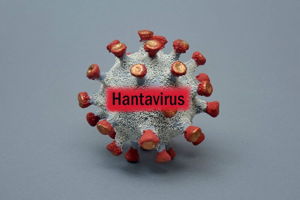 Hantavirus
