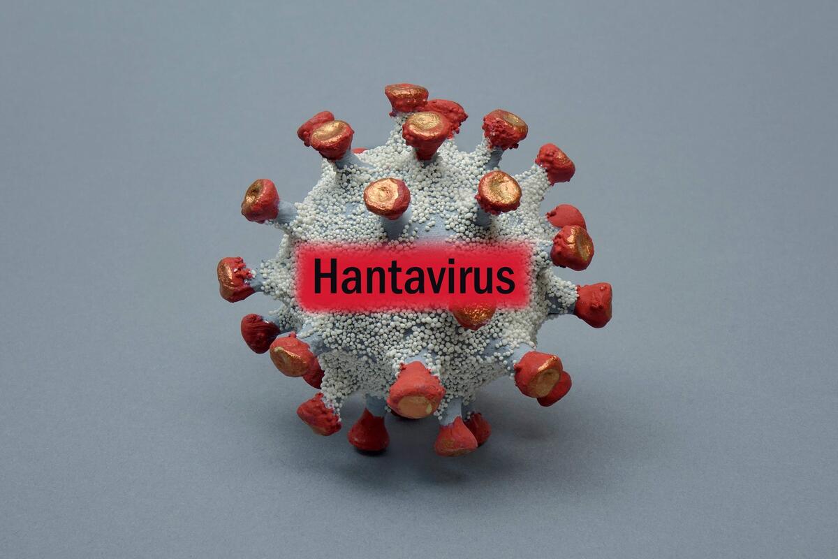 Ispovest žene iz Ivanjice koja je preživela hantavirus
