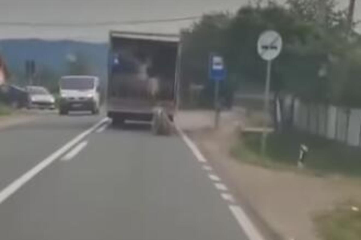 Ovce ispadaju iz kamiona kod Kruševca