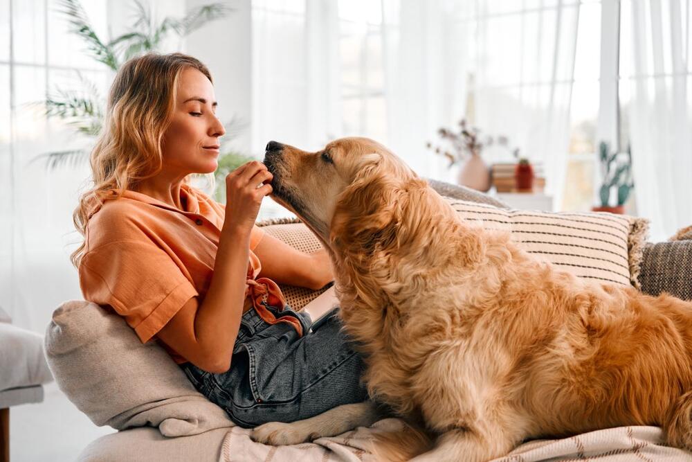 foto: Shutterstock/Harbucks