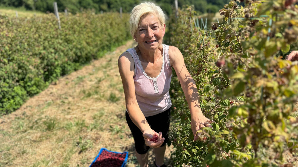 Maline
