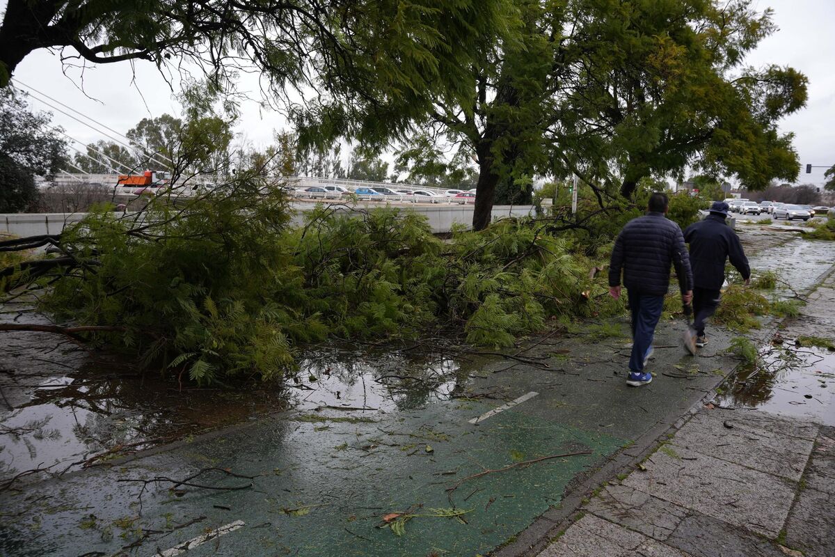 Umalo pala grana na posetioce Niške tvrđave