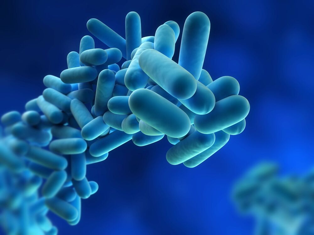 Virus