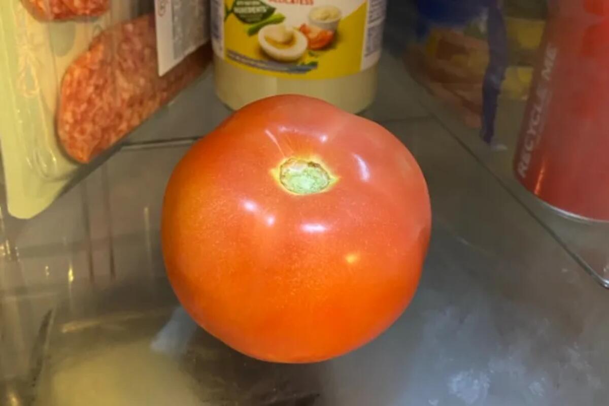 Gde se čuva paradajz