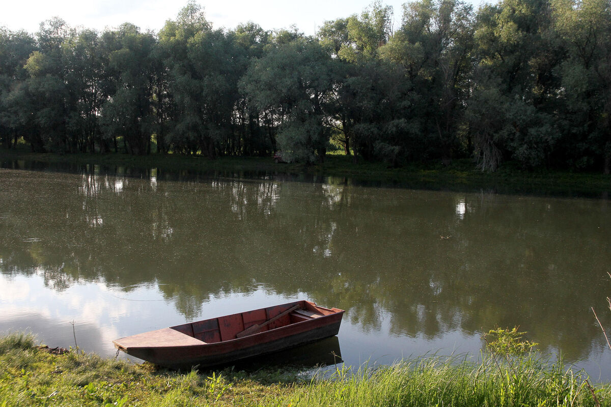 Opasnost od zaraze u reci kod Guče