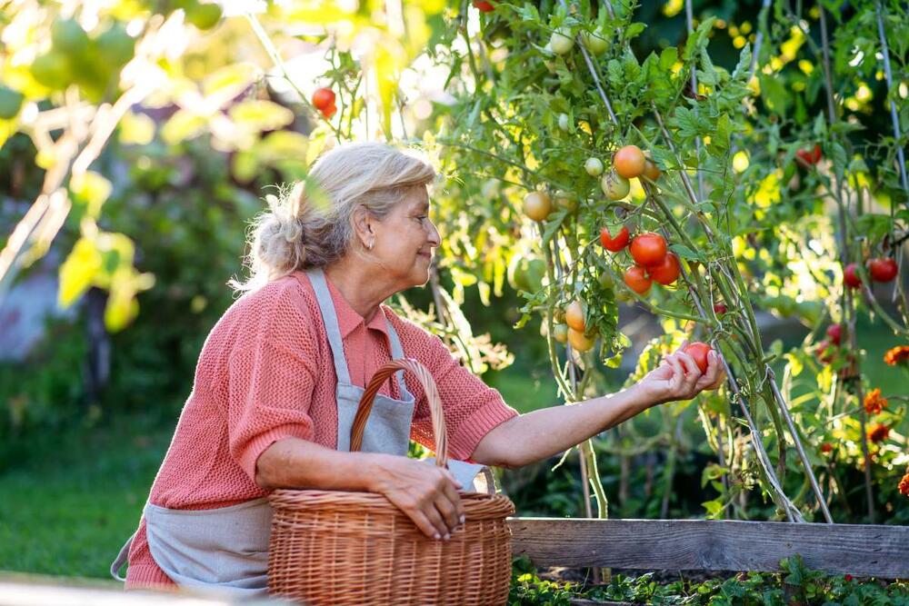 foto: Shutterstock/Halfpoint