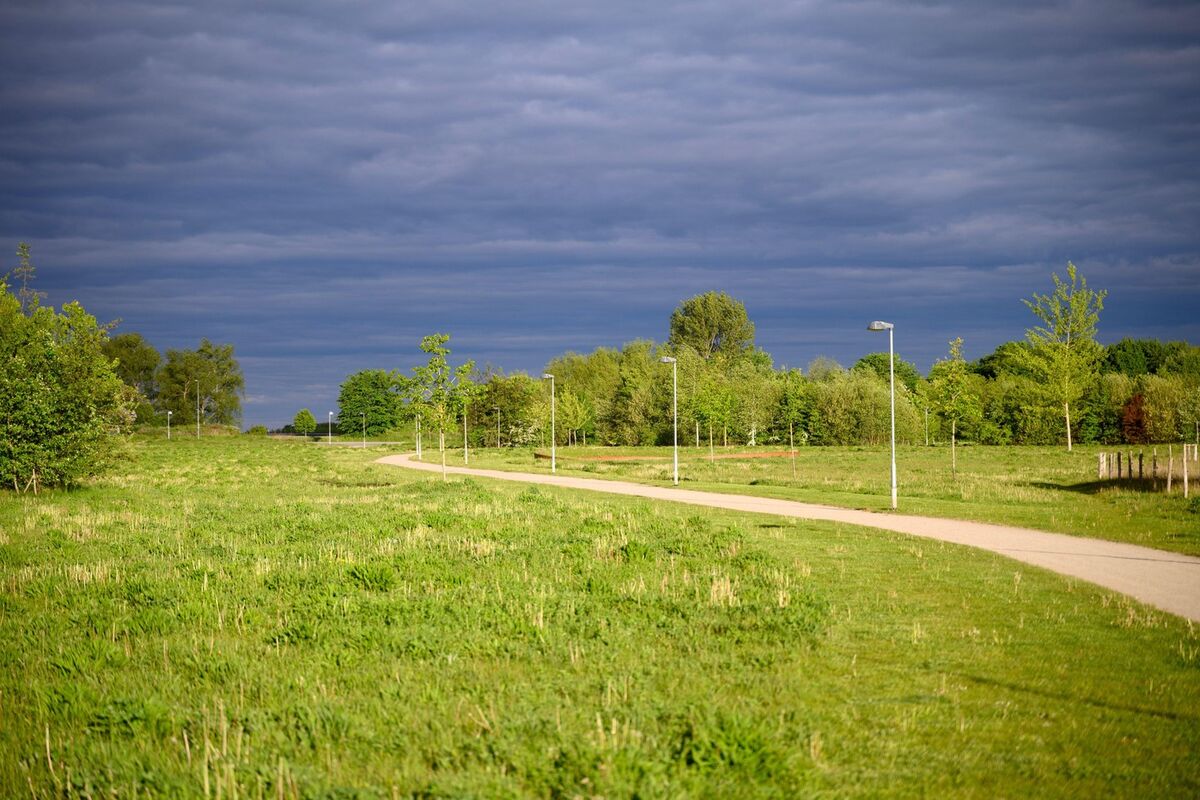 Udari gromova i jaki pljuskovi na širem području Rtnja