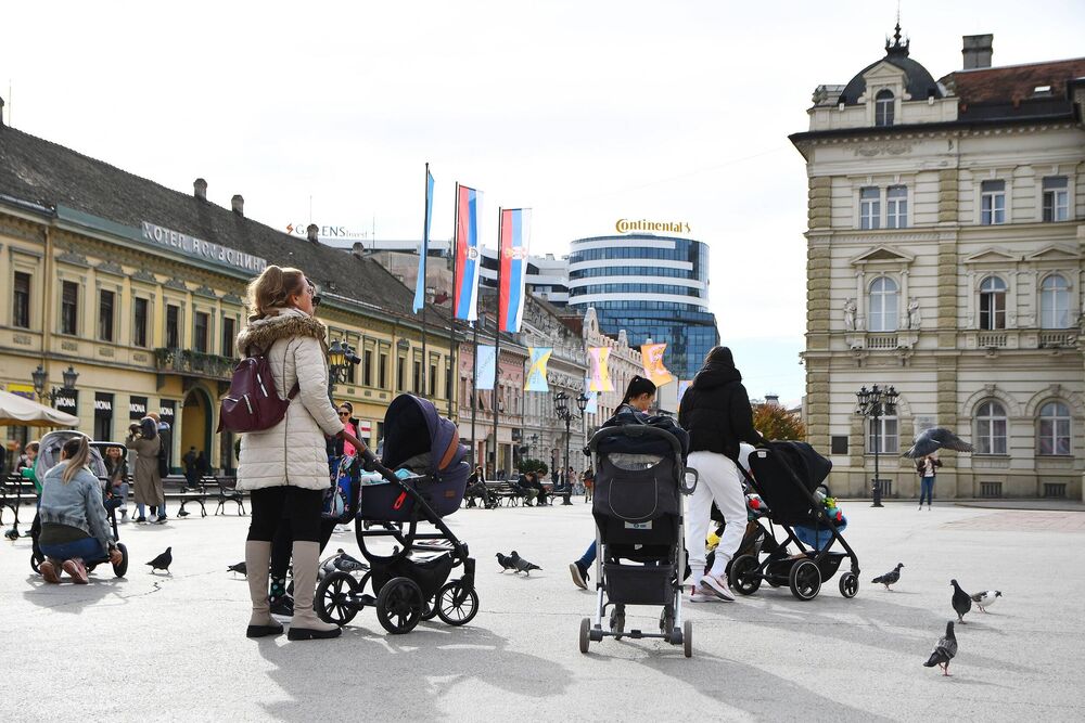 šetnja, Jesen, Novi Sad, grad, Hladno vreme