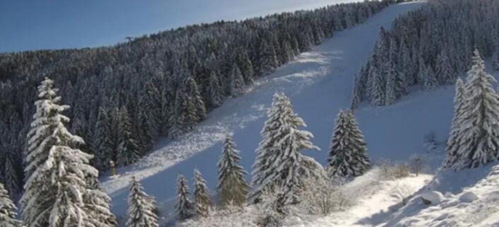 Kopaonik
