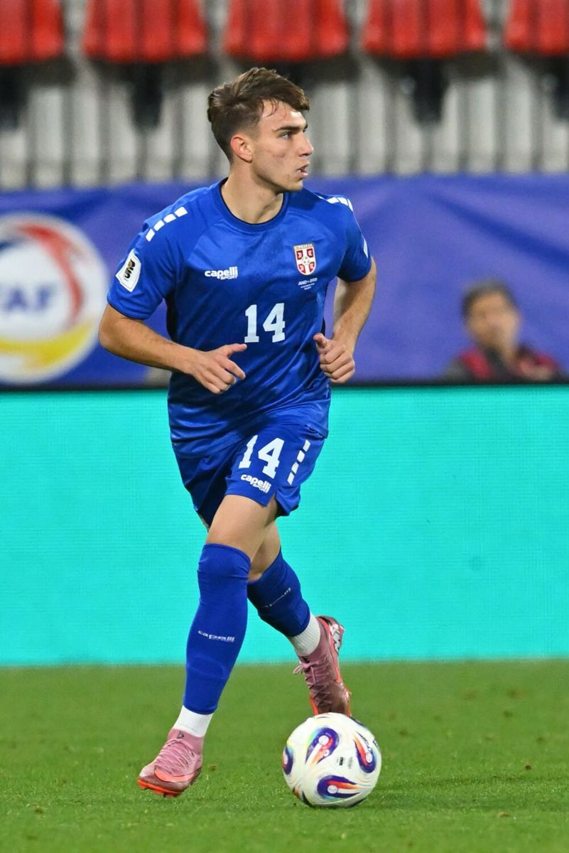 Mihajlo Cvetković, Fudbalska reprezentacija Srbije