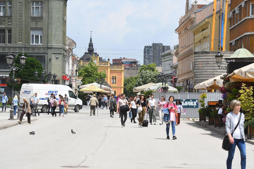 Miholjsko leto
