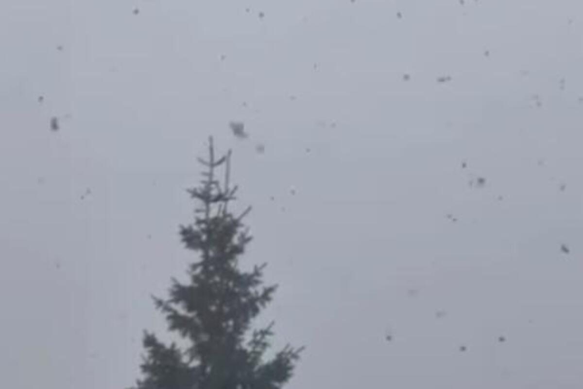 Ponovo pada sneg na Goliji