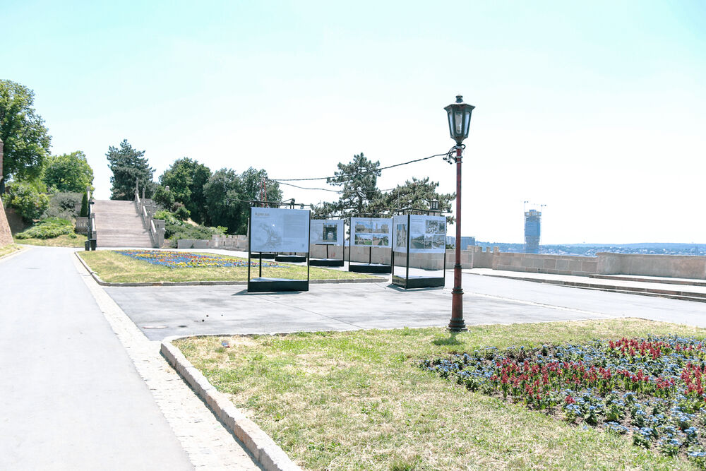 Vrućina, Toplota, Beograd, Podne, Topli dani u Beogradu, Rashlađivanje, Kalemegdan, Toplotni udar