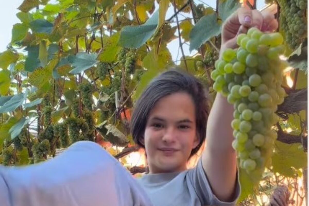 Vera Škulić otišla na selo i traži dečka