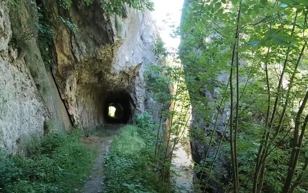 Priroda u Zvonačkoj banji