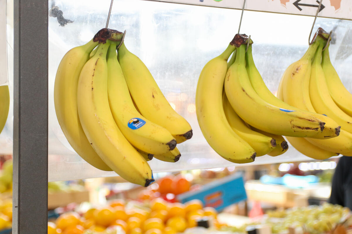 Otrovne banane stigle preko BiH, otkriven zabranjen pesticid