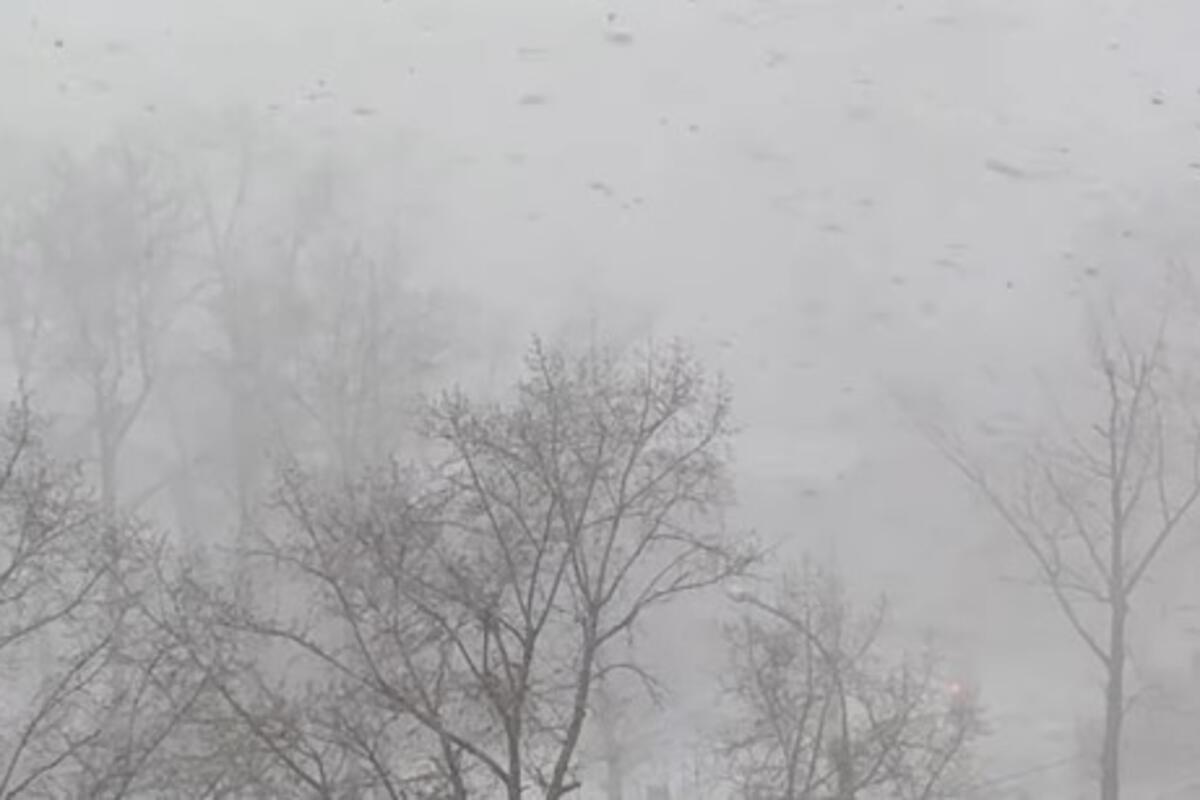 (Video) Pao sneg na Kopaoniku: Prava zimska idila