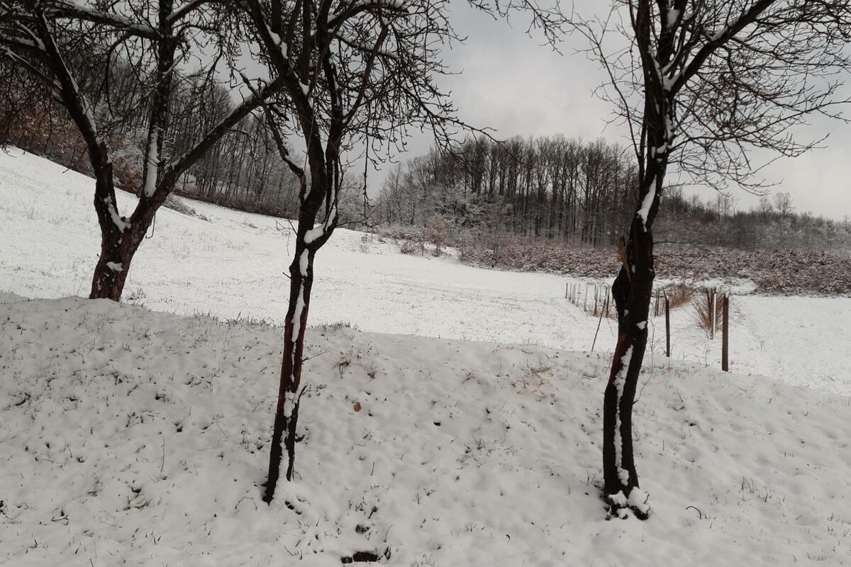 Sledeće nedelje temperatura u Srbiji pada, sneg stiže na planine
