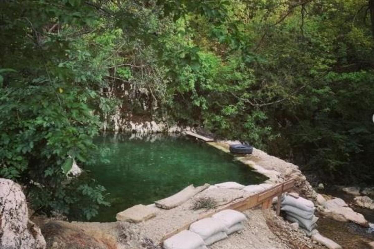 Dag banjica leči mnoge bolesti