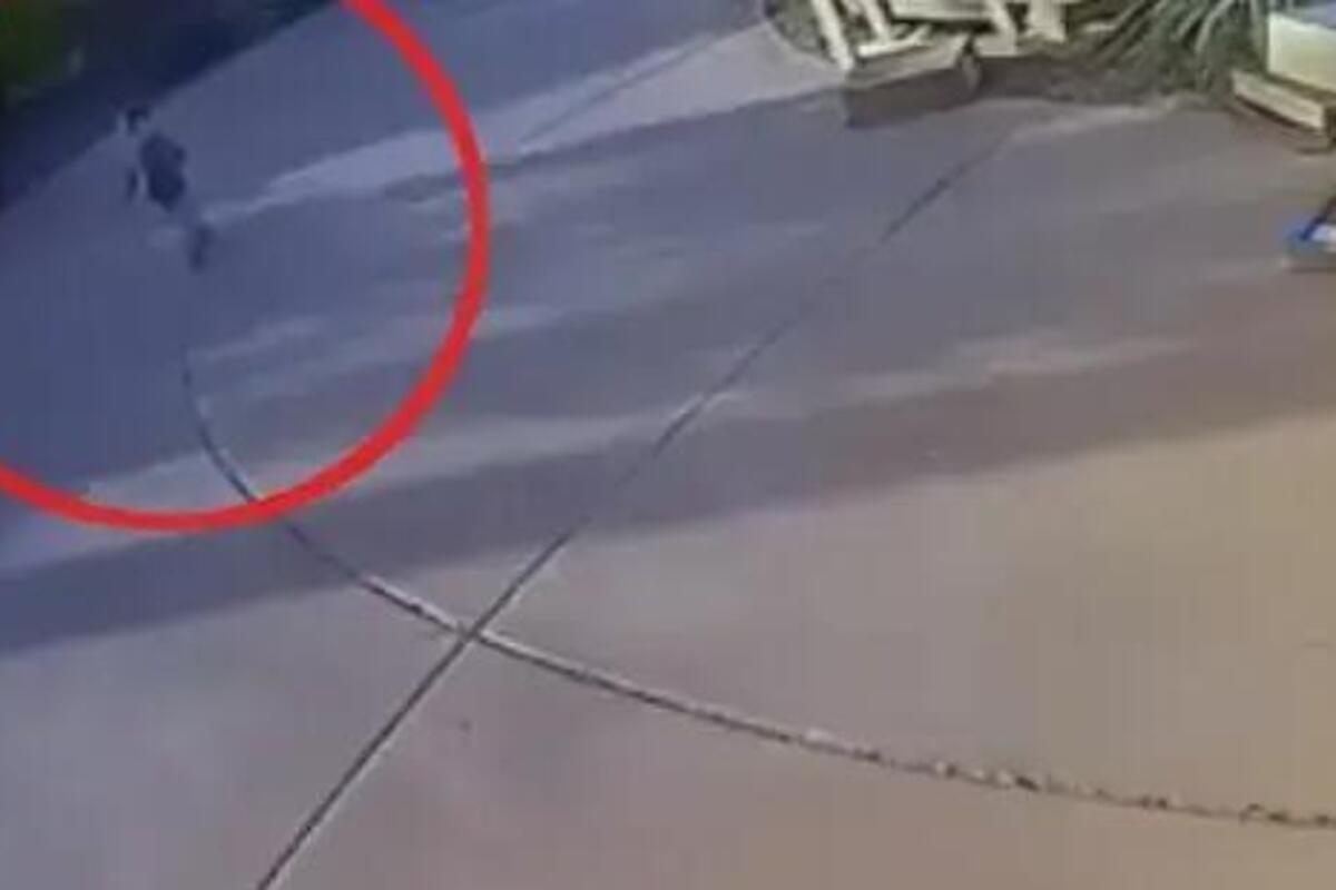 Kojot zgrabio dečaka pred ulaznim vratima