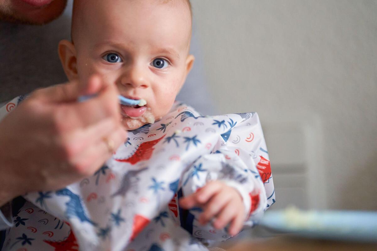 U kašicama za bebe marke SPAR koje se prodaju i u Srbiji pronađen otrov za pacove