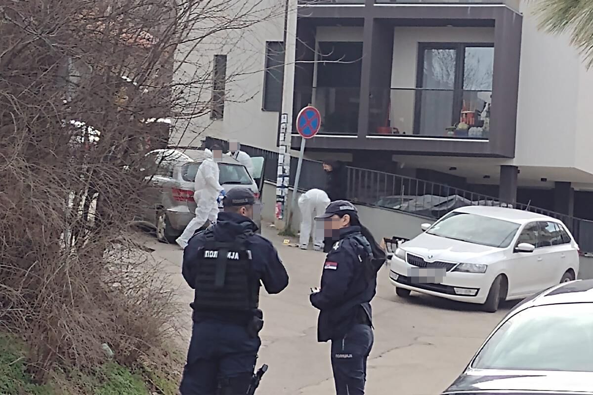 Starac (80) zverski ubijen na Novom Beogradu