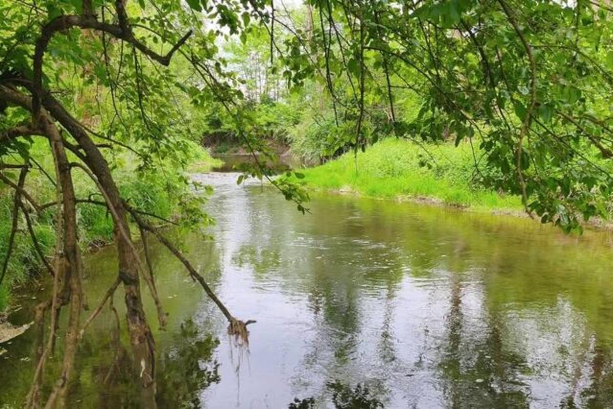 Prodaje se plac pored reke za 9.500 evra