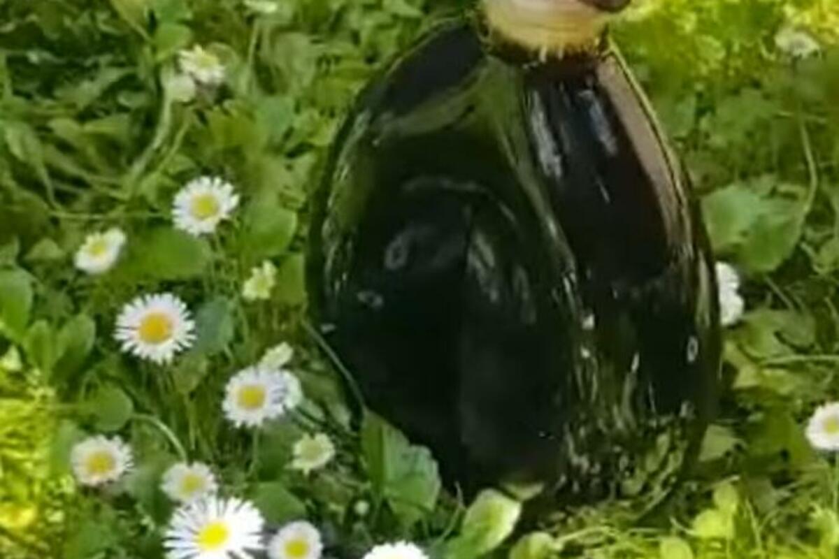 Domaći orahovac briše godine