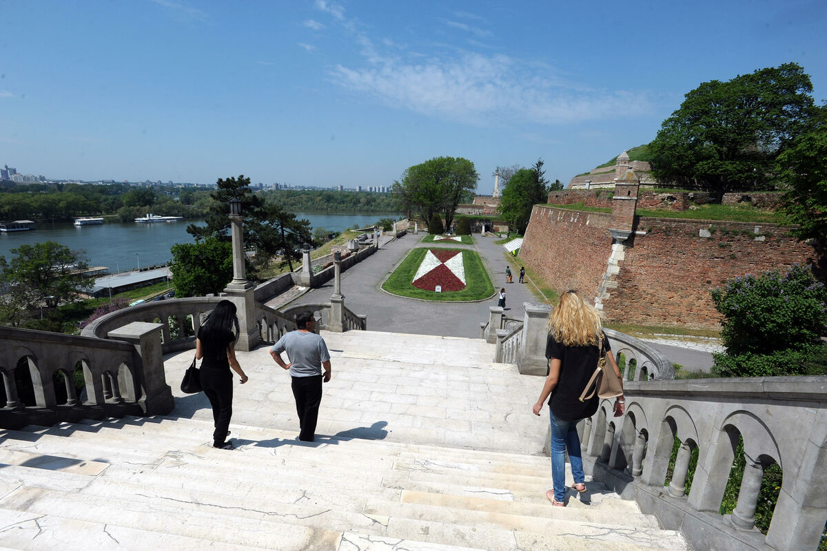 Na Kalemegdanu usnimljeno mladunče divlje svinje