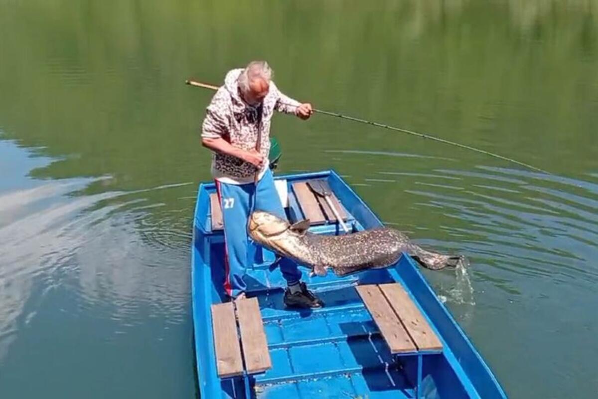 Čovek upecao ogromnog soma pa ga stavio u gepek bez vode