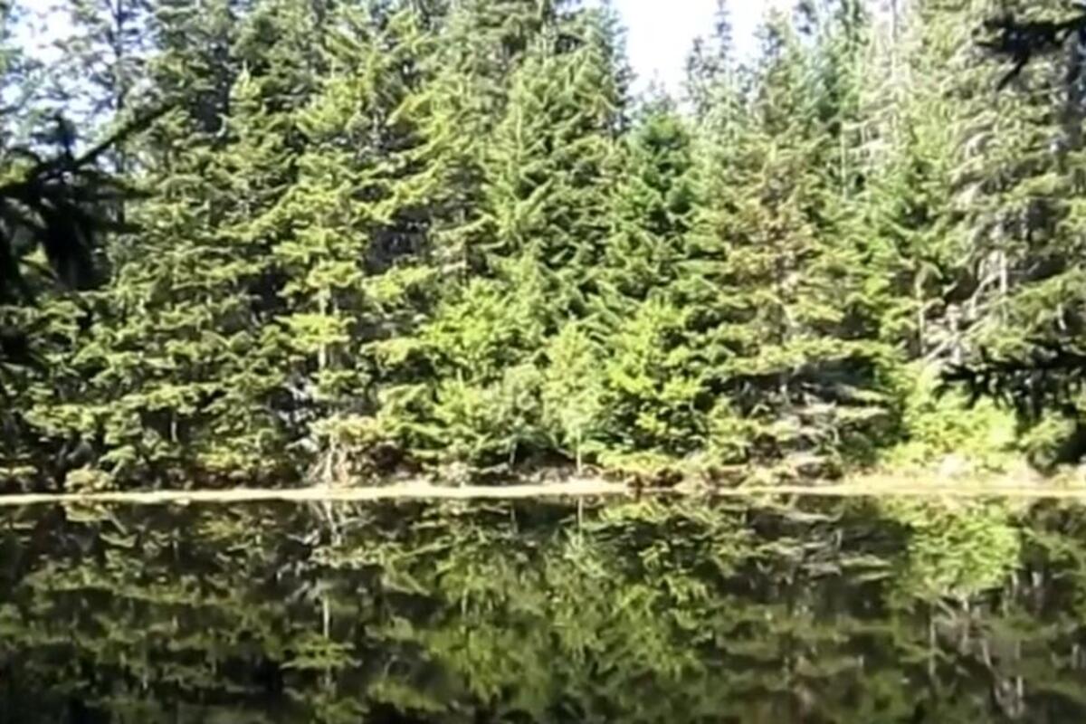 Košaninova jezera su skriveni dragulj Srbije