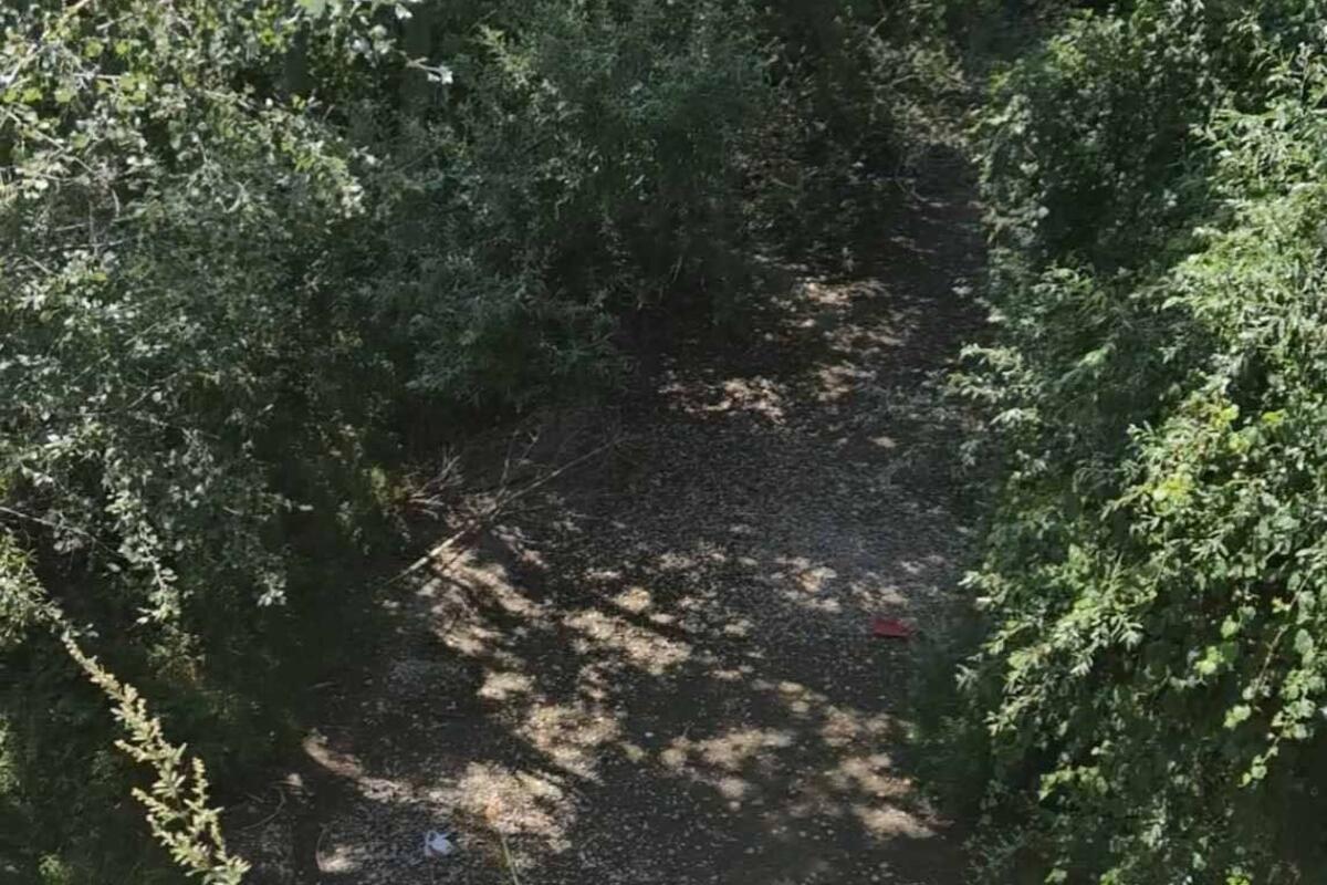 Borba vrane i zmije u reci Gradac