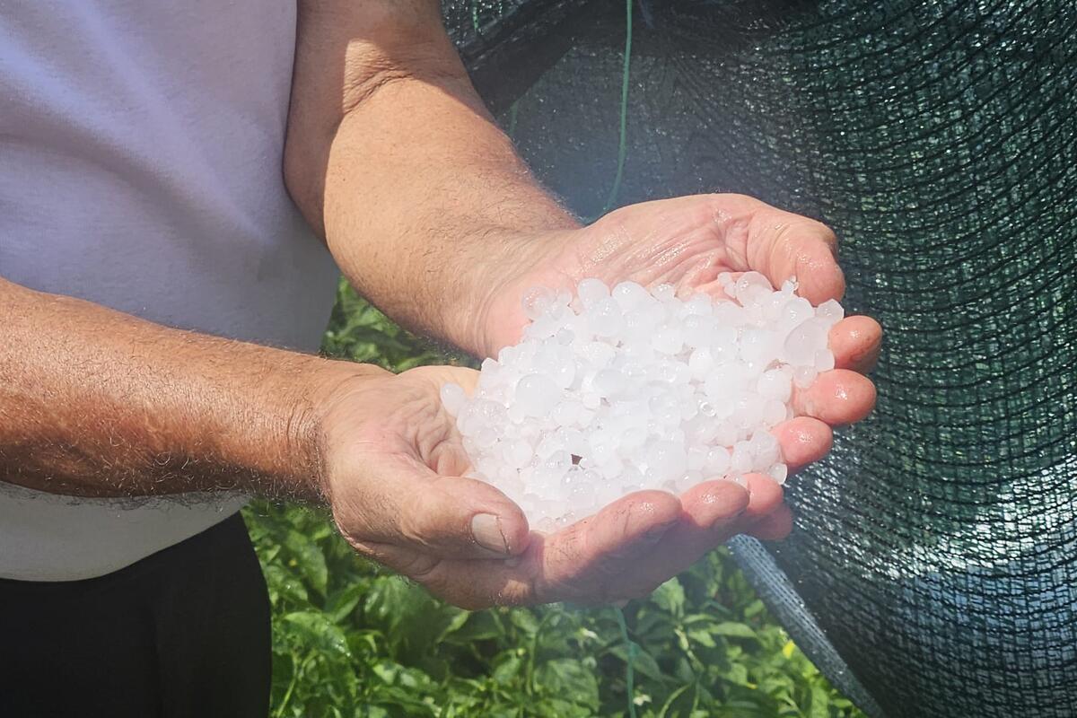 Jak grad pogodio sela u Prijepolju - 20. jul 2026.