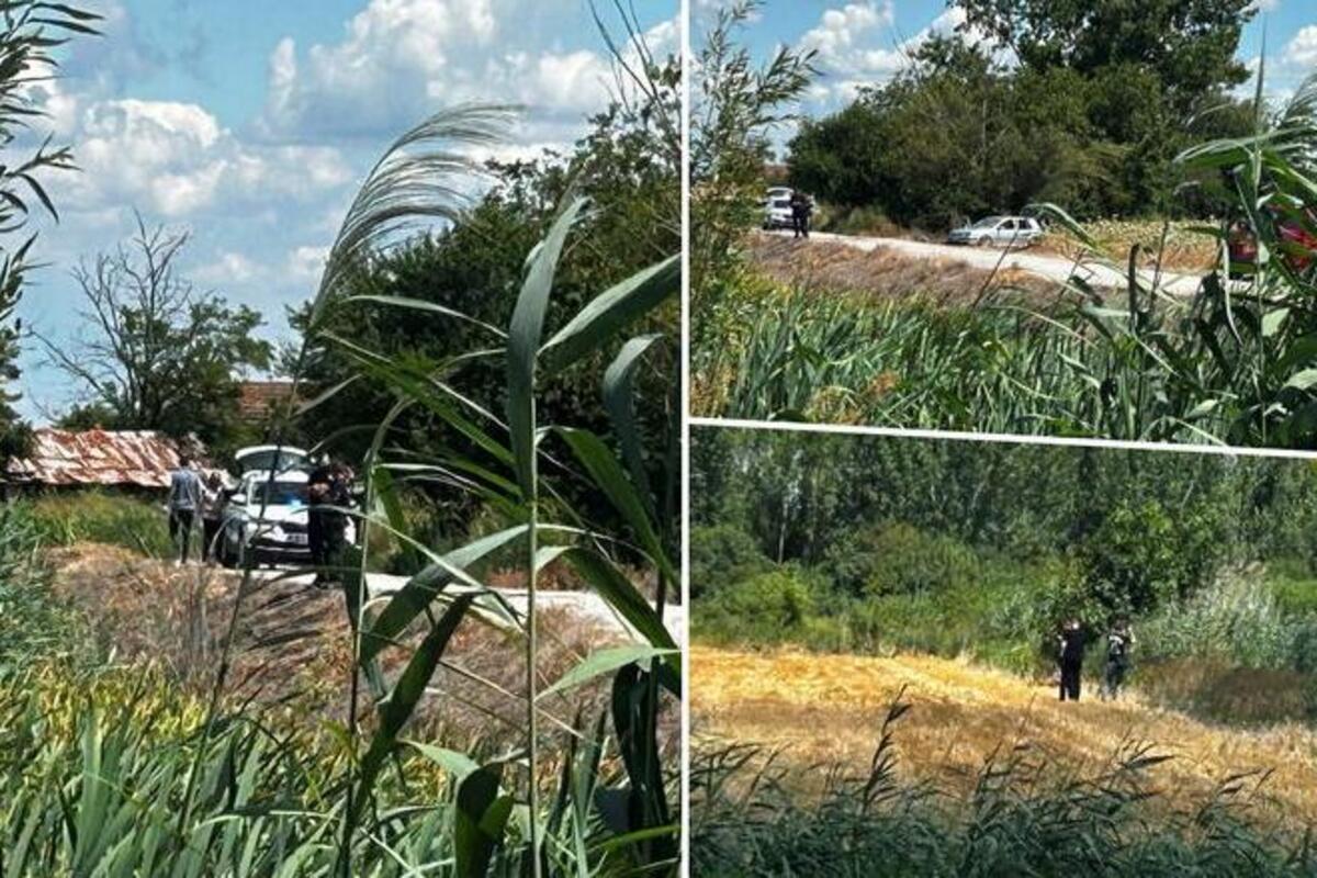 Uzrok smrti troje mladih u nesreći kod Novog Sada