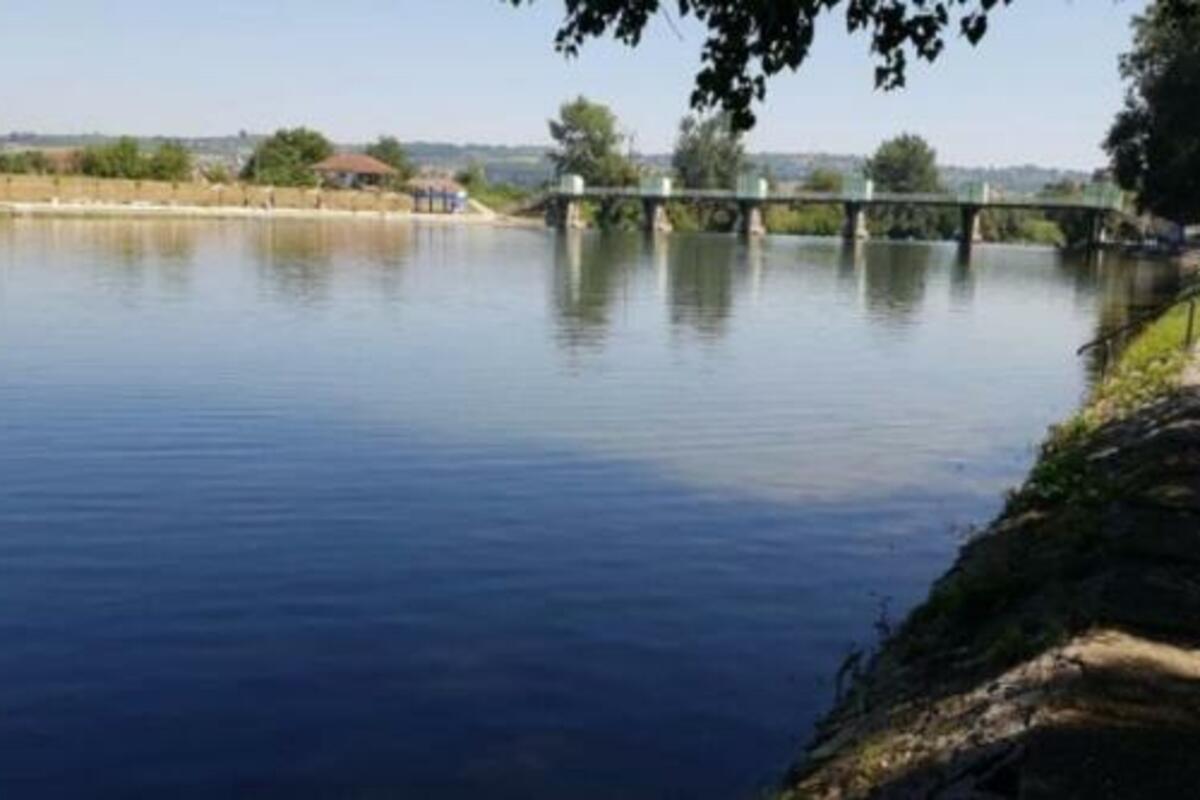 Riba cverglan pravi probleme ribolovcima u Južnoj Moravi