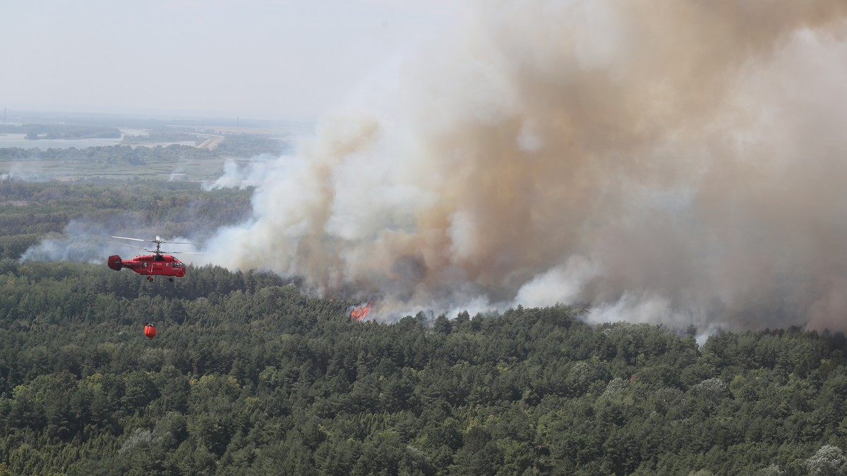 Požar u Deliblatskoj peščari: Srbija prihvatila pomoć EU, stižu četiri Crna jastreba