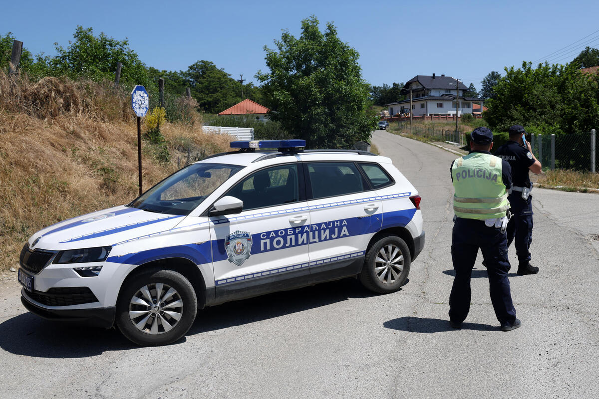 Vozač udario u srnu kod Negotina, poginula žena