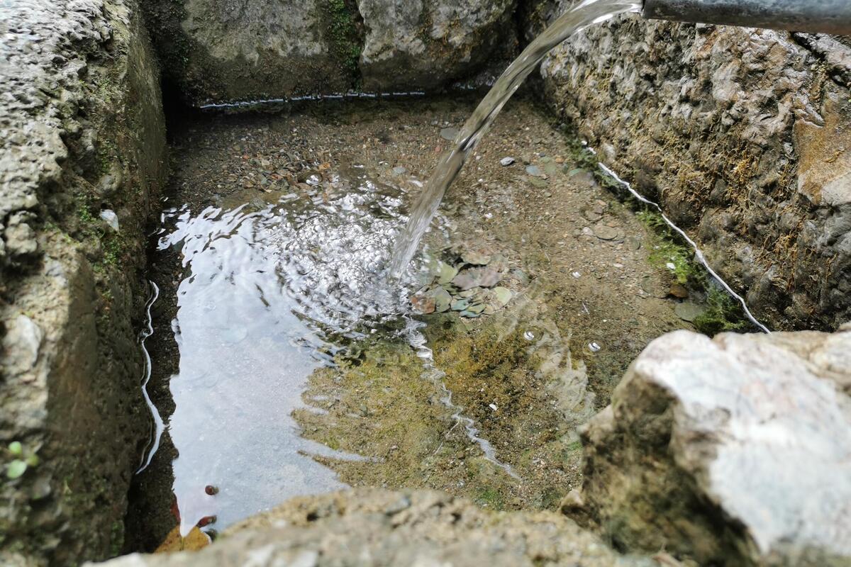 Rgoška banja nema raskošne hotele, ali ima lekovitu prirodu